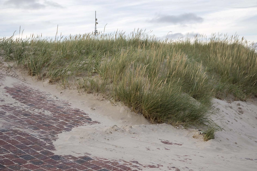 Vestled Tegl møder sand