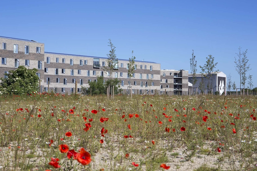 Margretheholm - Udsigten Blik fra toppen af støjvolden