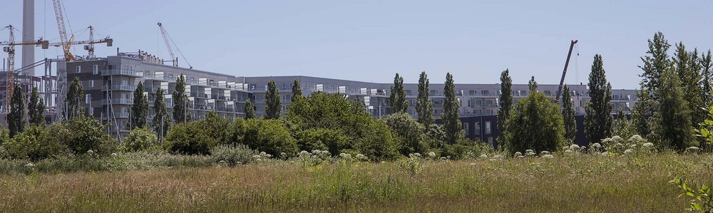 Margretheholm - Udsigten Blik fra Refshaleøen