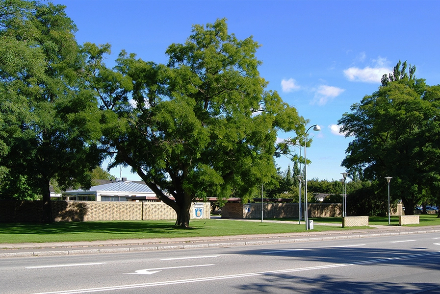 Brøndby Rådhus Rådhusets hovedindgang mod Park Allé