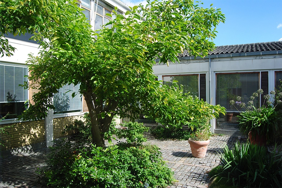 Brøndby Rådhus Eksempel på en mindre gårdhave