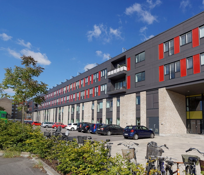 Langgadehus Parkering, beplantning