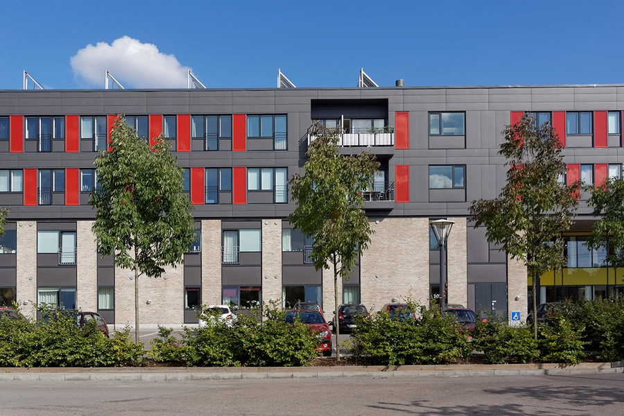 Langgadehus Parkering, beplantning