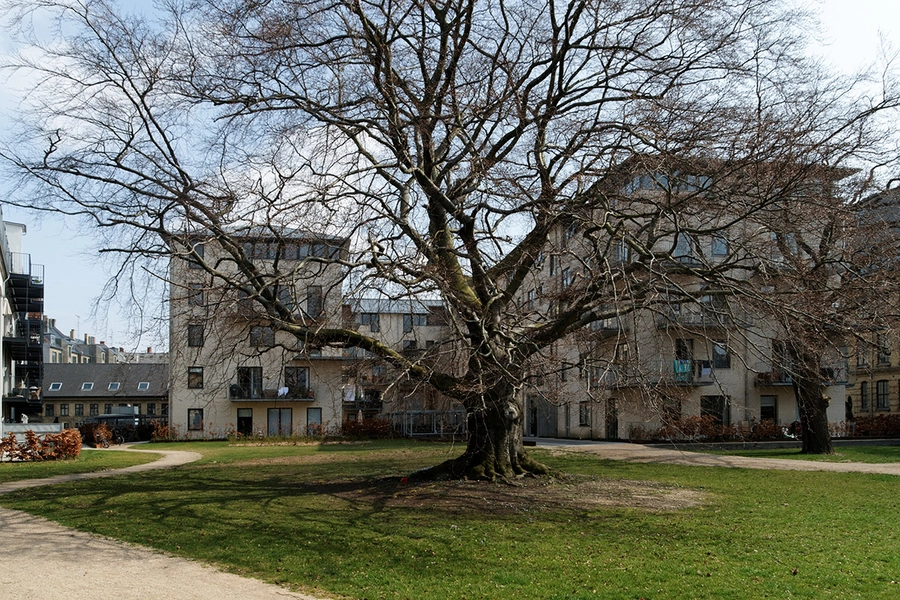 Fasanhaven - Porcelænshaven Bebyggelse i park