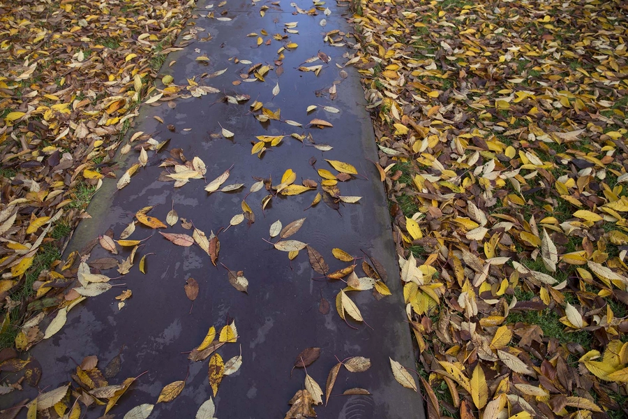 Stjernevejs-projektet - Vestre Kirkegård - Søndre Kapel Jernbånd - gang-sti