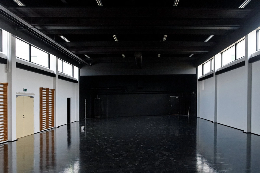 Esbjerg Gymnasium Interiør, gymnastiksal
