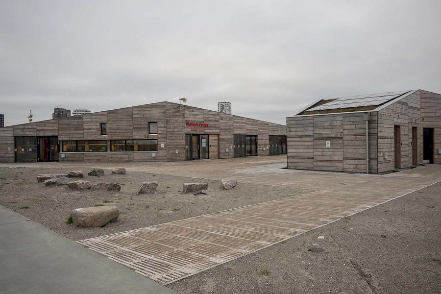 Naturcenter Amager Strand - Den Blå Foreningsby Elementer i sandet