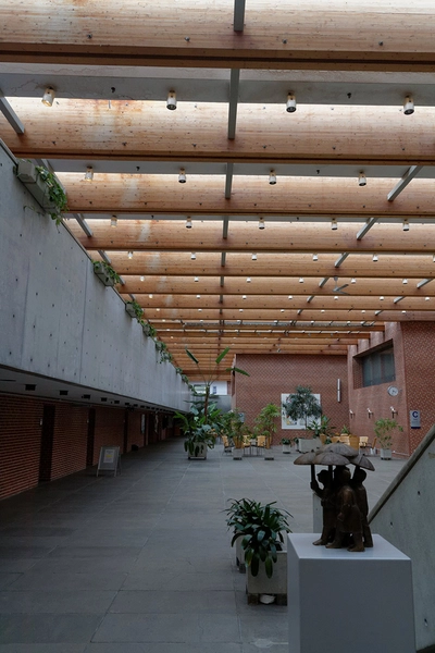 Esbjerg Seminarium - University College Syd Indgangshal, lysindfald