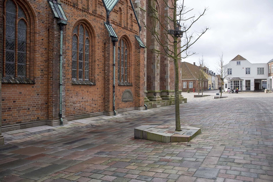 Ribe Domkirkeplads Plint med træer