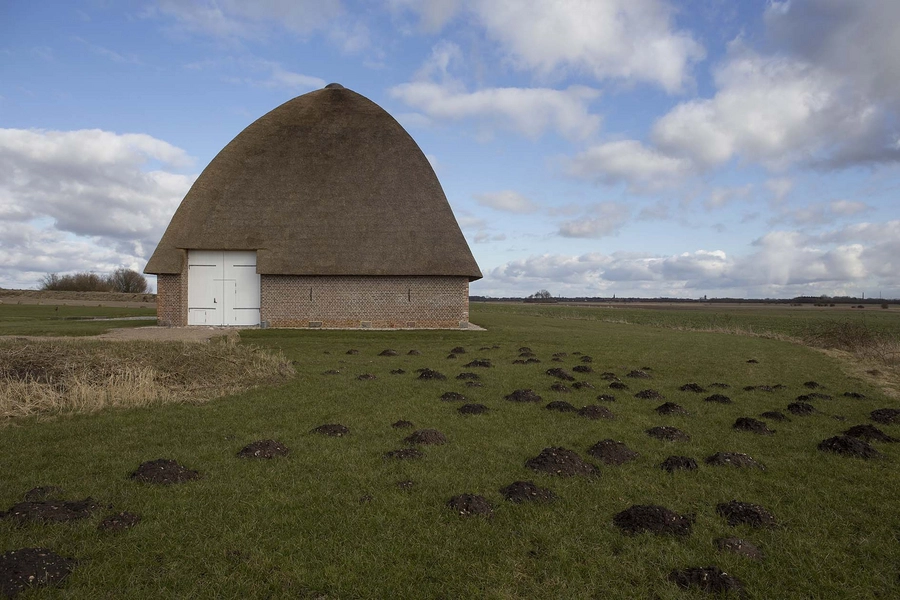 Guldhorn- og Kulturcenter Slotfelt Lade Bygningen set fra vest i det flade marsklandskab