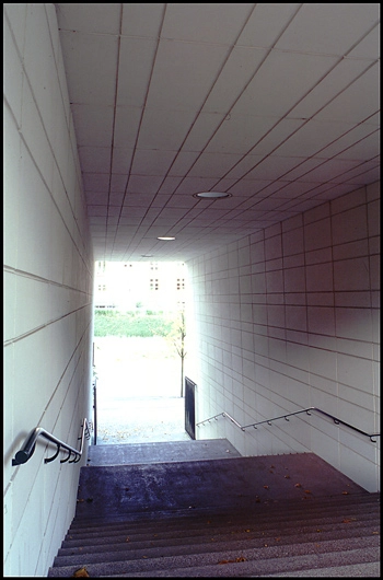 Mindelunden i Ryvangen Adgangstrappen