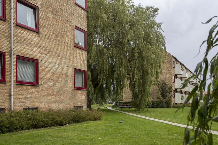Ryparken - Lundevænget Ryparken, vinduesrestaurering fra 1980'erne