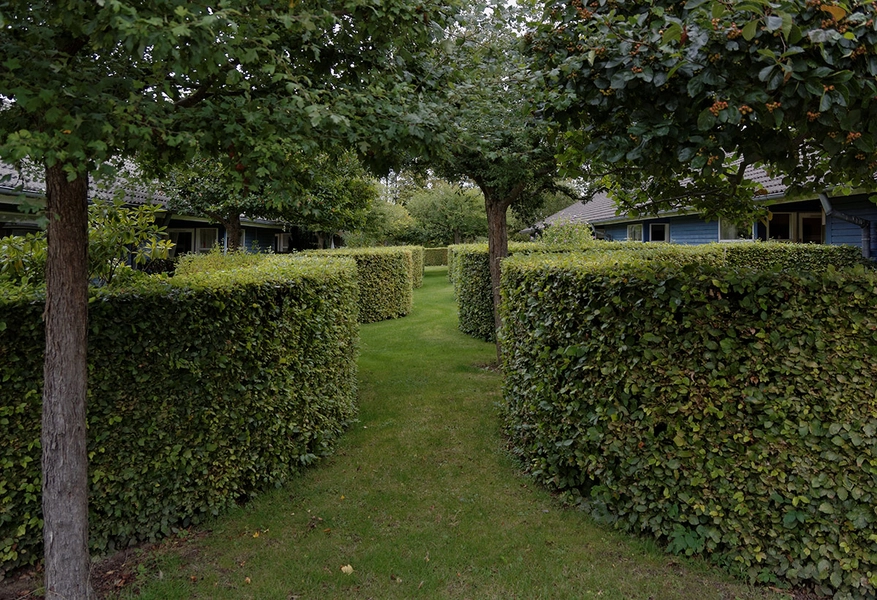 Sophielund Beplantning, formklippede hække