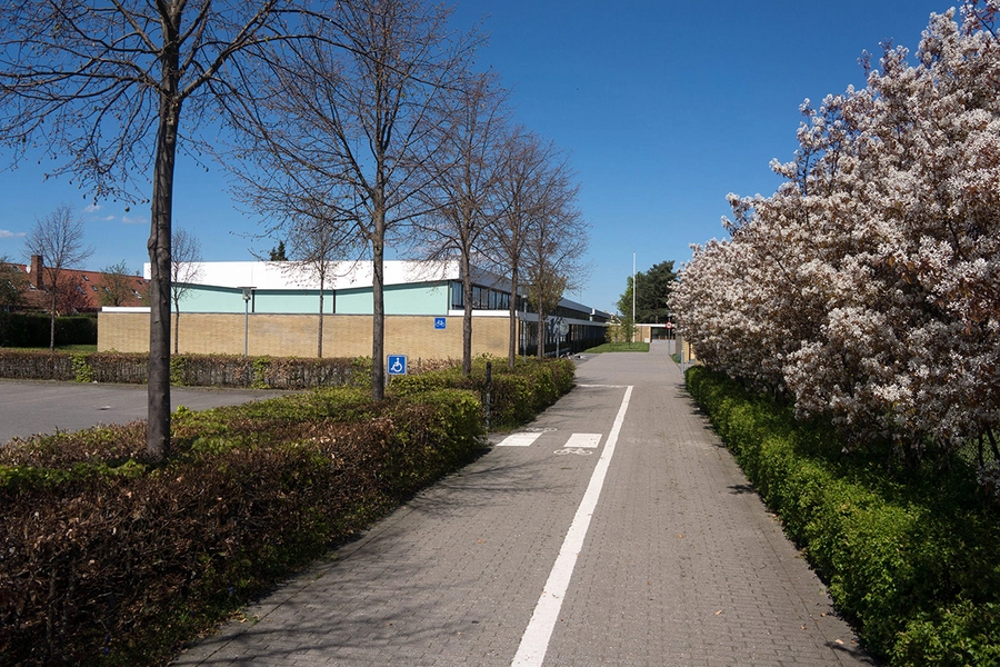 Nyager Skole Beplantning