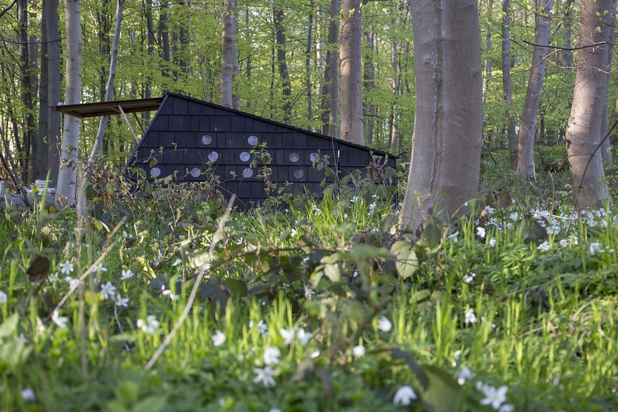 Skrubbe og Stenbider Shelters "Skrubbe" Shelter ved Vestre Stigtehave