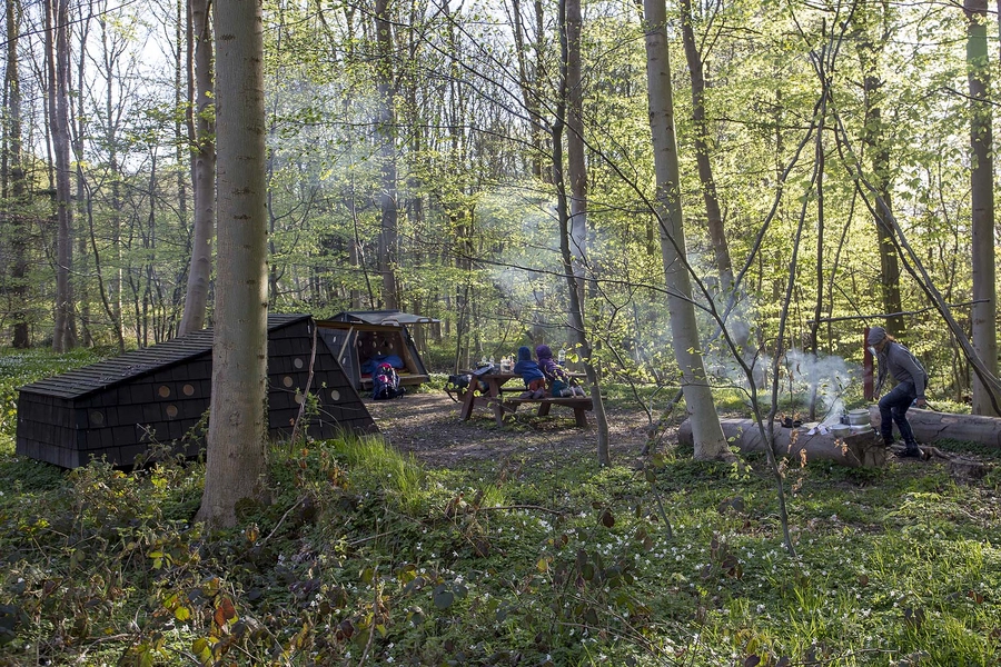 Skrubbe og Stenbider Shelters Lejrplads Vestre Stigtehave
