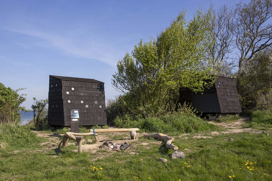 Skrubbe og Stenbider Shelters Lejrplads Pæregaard Strand