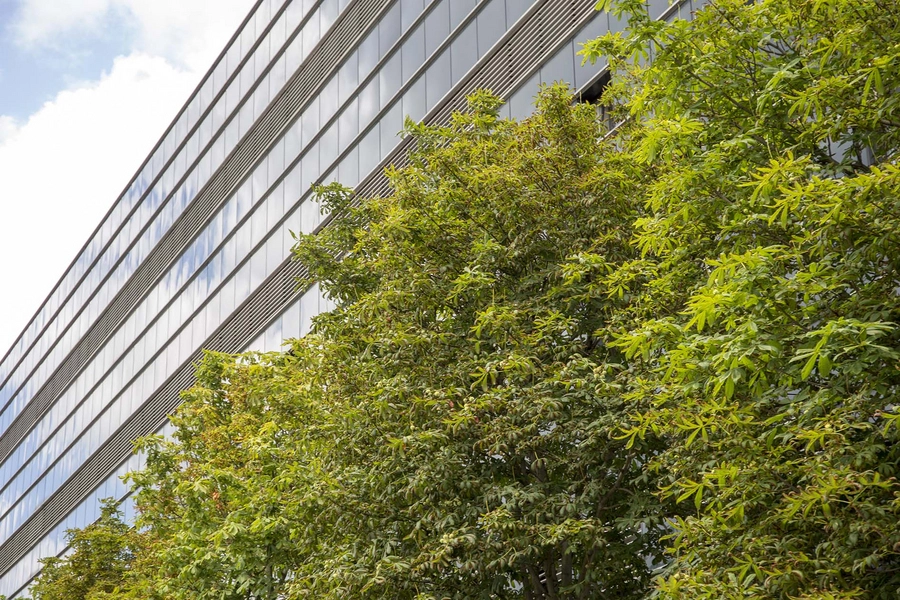 Carlsberg - Hovedkontor - Silo Malteri, træer langs Ny Carlsberg Vej