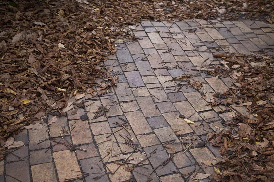 Carlsberg - De Hængende Haver - J. C. Jacobsens Have Detalje, sti, parkanlæg