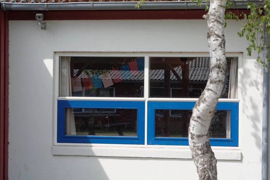 Endrupskolen Vinduer