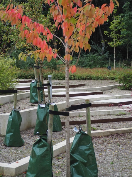 Trafiktårnet Vest Haveanlægget