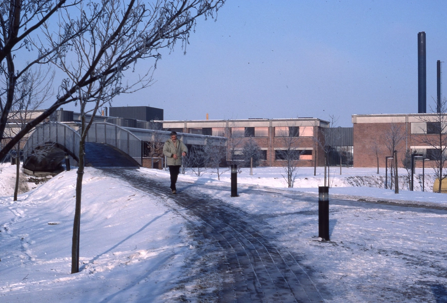 Teknologisk Institut Kig gennem parken