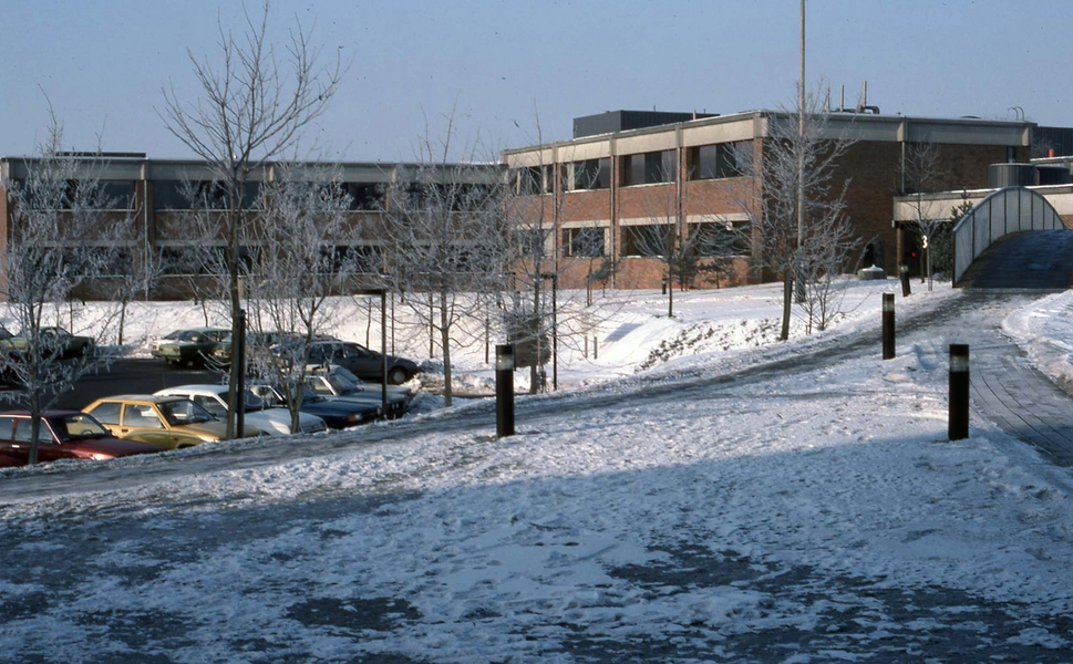 Teknologisk Institut Kig gennem parken, parkering