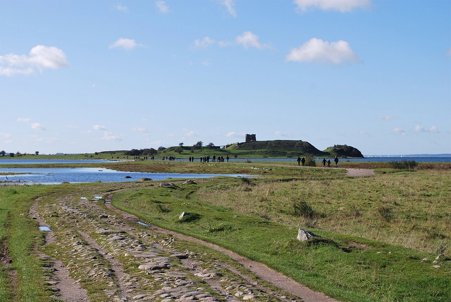 Kalø Slotsruin En dæmning fører de besøgene ud på øen i Kalø Vig
