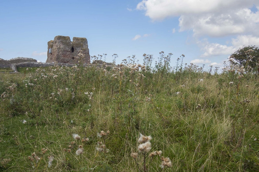 Kalø Slotsruin Ruinen i landskabet