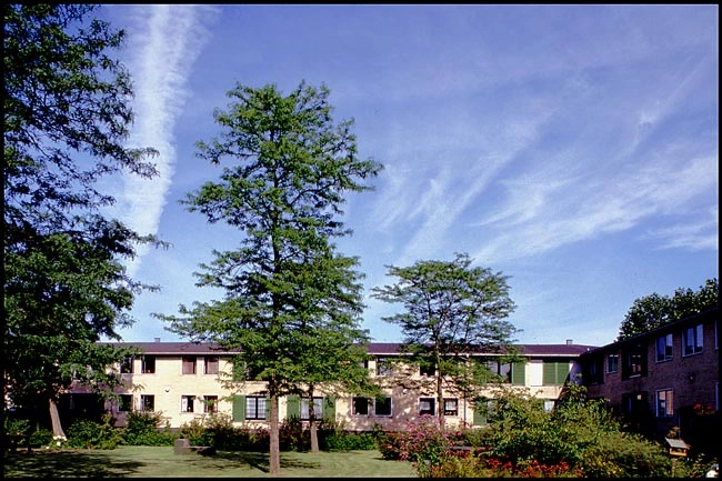 Banehegnet Den lave bebyggelse