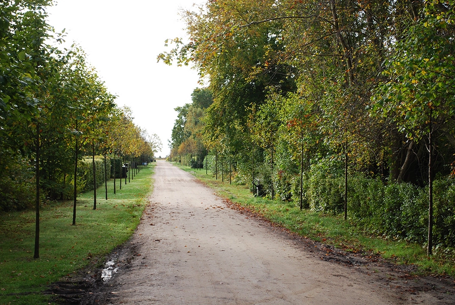 Femmøller Strand Diagonalaksen Vestervangen med kig mod havet.