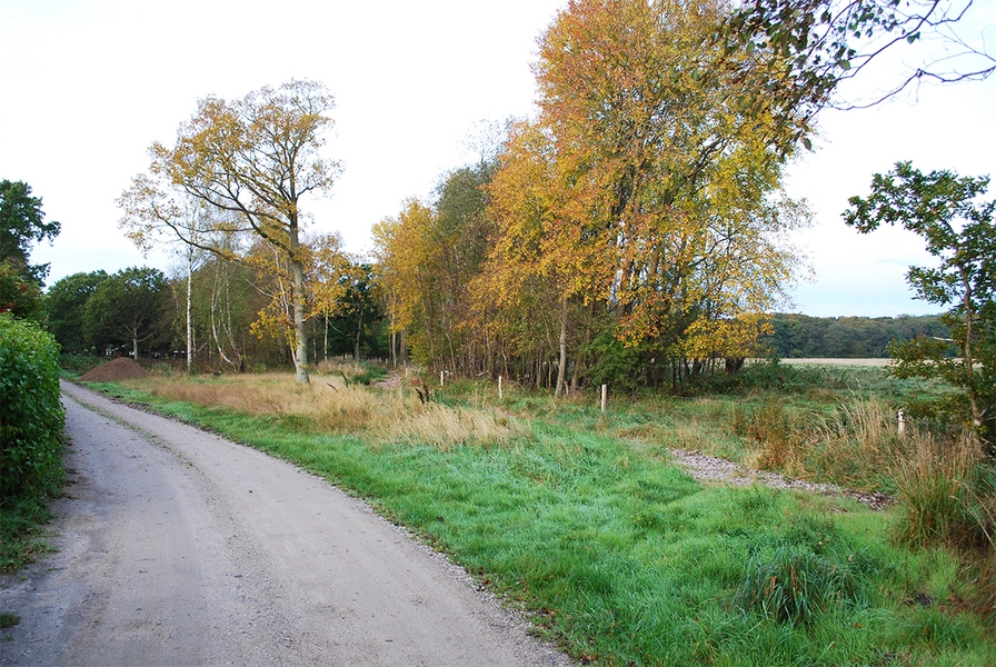 Femmøller Strand Feriebyen bindes tæt sammen med naturen omkring, bl.a. via de mange kig til f.eks. engen mod vest.