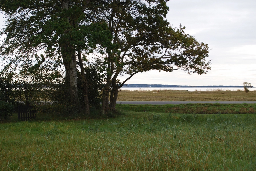 Femmøller Strand Udsigt over Ebeltoft Vig, syd for Kulturaksen.
