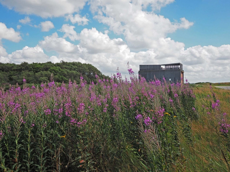 Skjern Å Arbejdende Pumpestationer Pumpestation Nord set fra distancen langs vejen