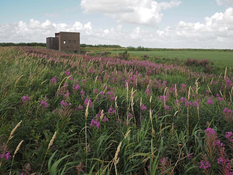 Skjern Å Arbejdende Pumpestationer Pumpestation Sydøst set fra distancen langs vejen