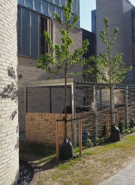 Diakonissestiftelsens Seniorboliger Cykelskur