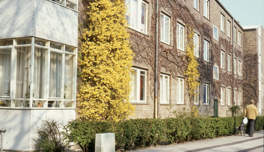Bispebjerg Terrasser Foto af C. Th. Sørensen