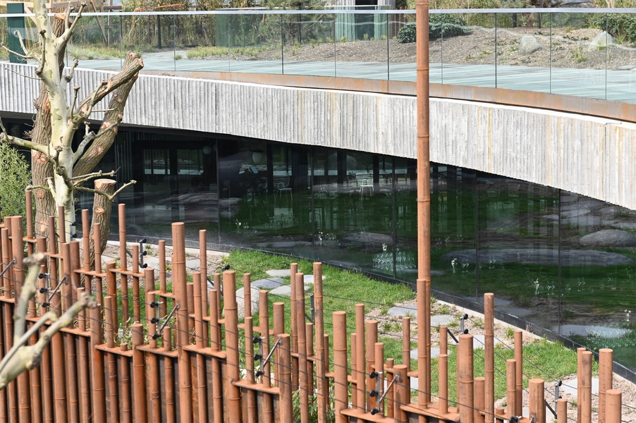 Panda Hus Restaurantens vinduer ud til hanpandaens område