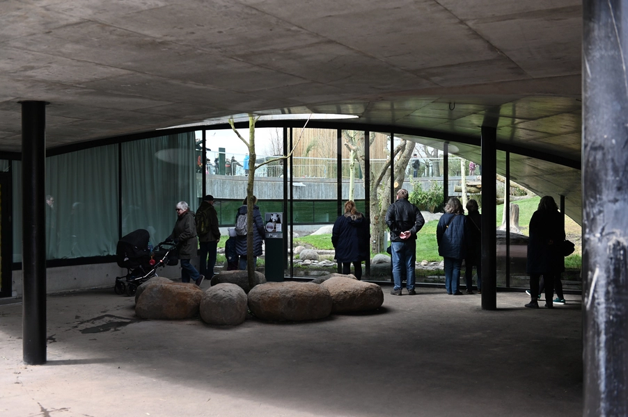 Panda Hus Indkig til Panda