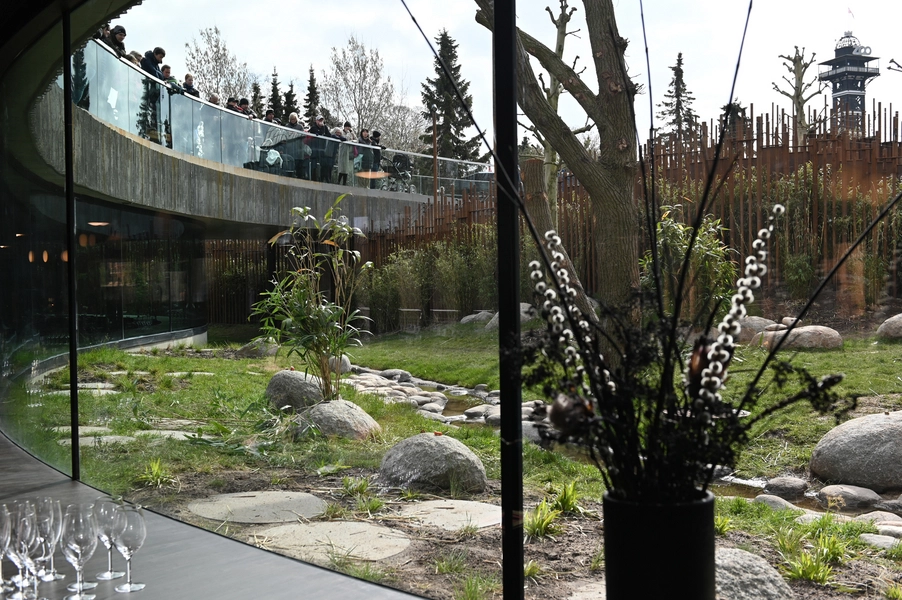 Panda Hus Udsigt til pandaanlæg fra restaurant