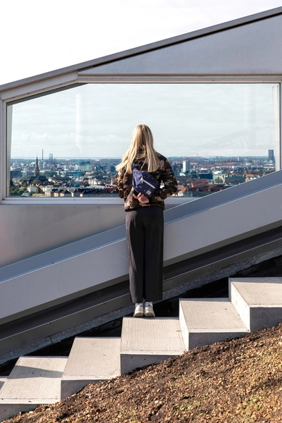 Amager Bakke Udsigt fra trappen