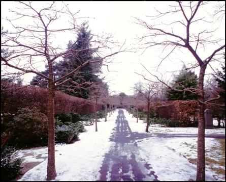 Ordrup Kirkegård Opdelende hække