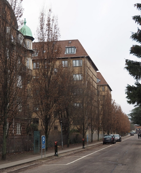 Grundtvigs Have Dyrlægevej