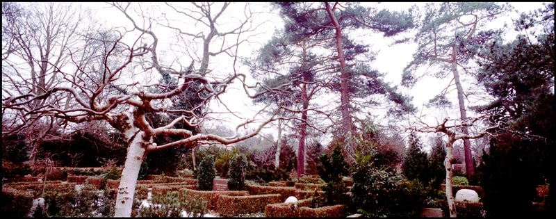 Ordrup Kirkegård Det regel- og det uregelmæssige