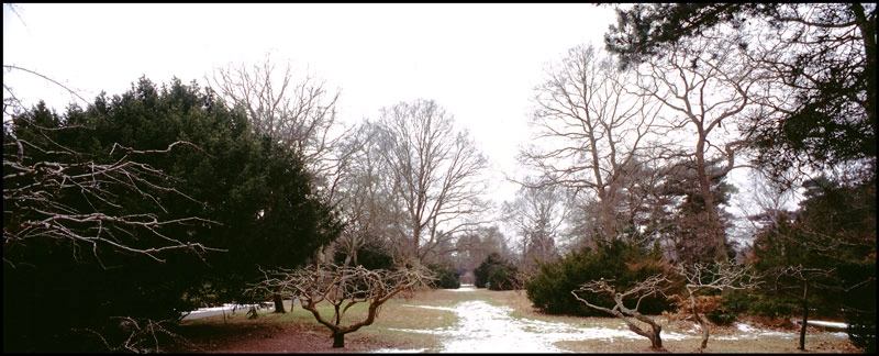 Ordrup Kirkegård Stilblanding