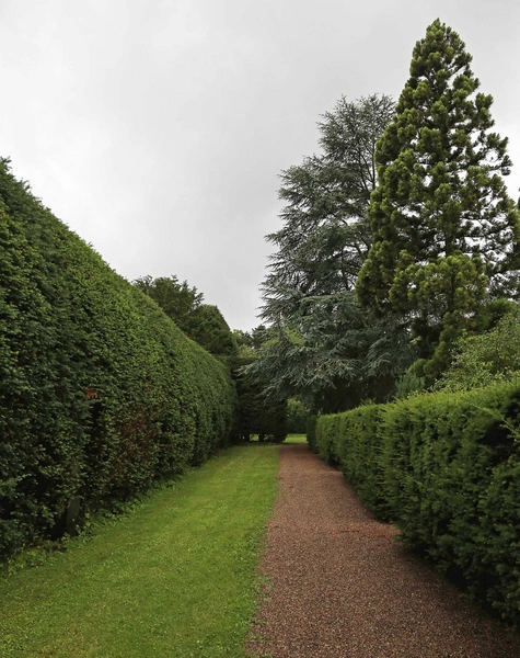 Mariebjerg kirkegård 