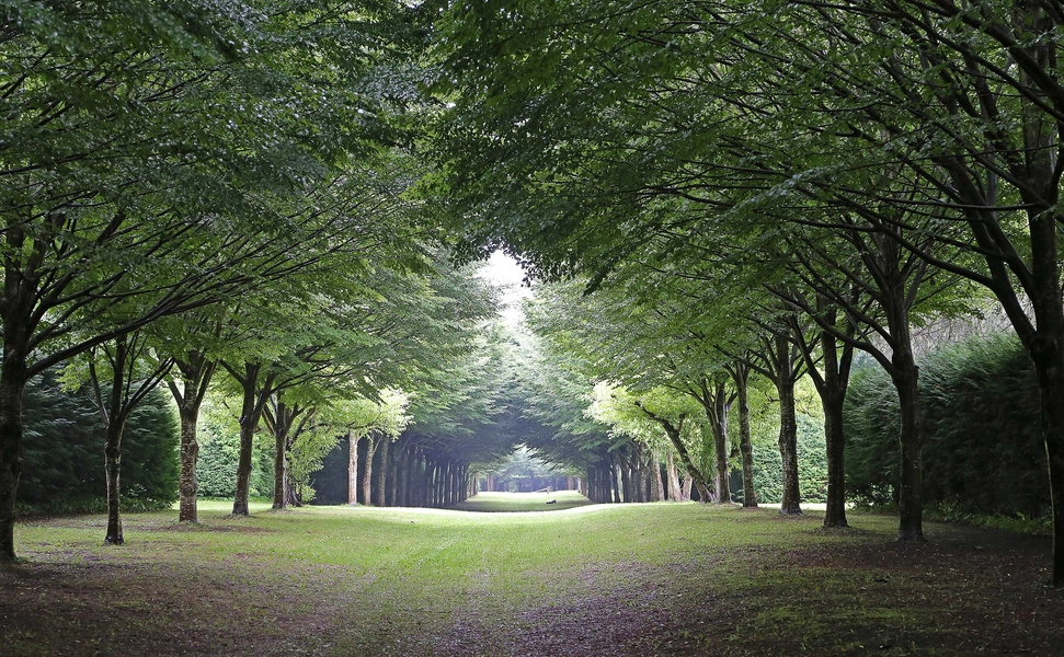 Mariebjerg kirkegård 