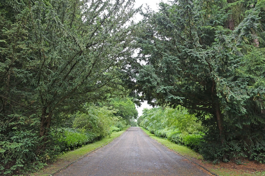 Mariebjerg kirkegård 