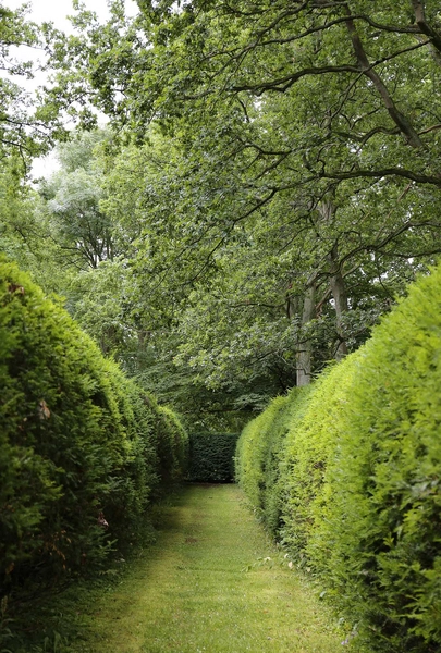 Mariebjerg kirkegård 