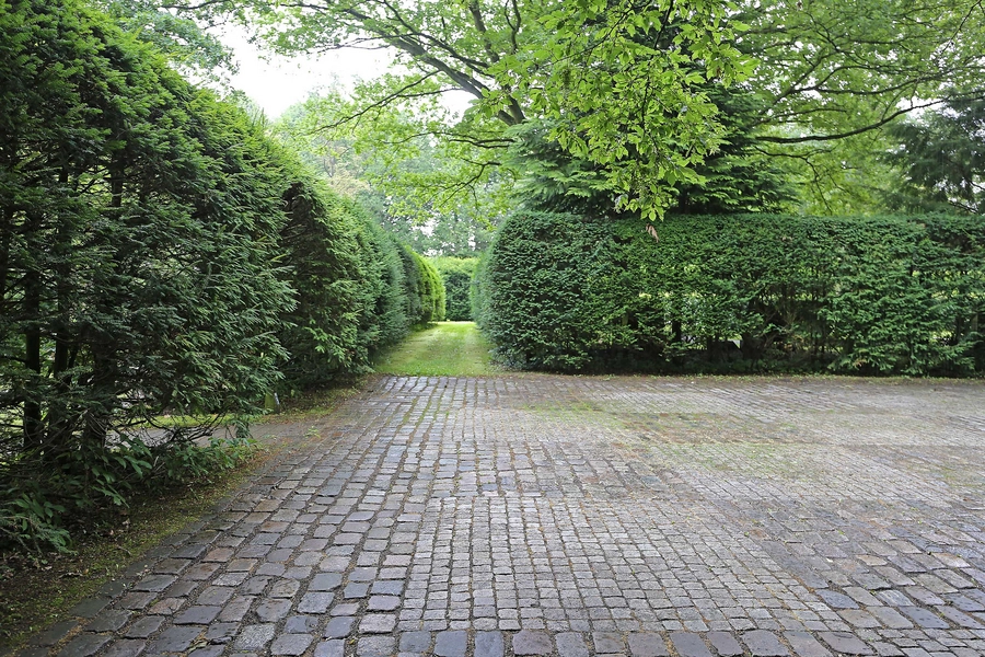 Mariebjerg kirkegård 